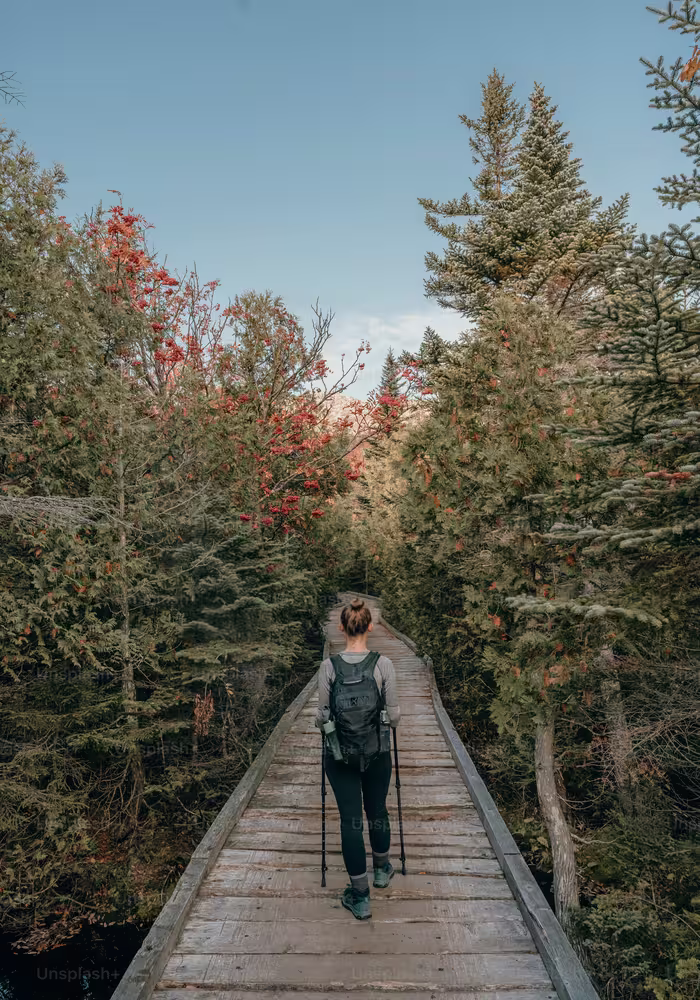 backpacker wandering over a wooden bridge in a dense forest